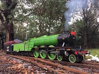 Illawarra Live Steamers (Mt. Pleasant Railway)