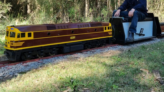 5'' 42201 electric locomotive - Blacktown NSW - S1280