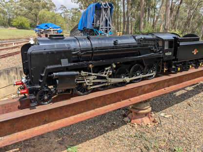 5" Kingscale 9F Steam Locomotive - Richmond NSW - S1312