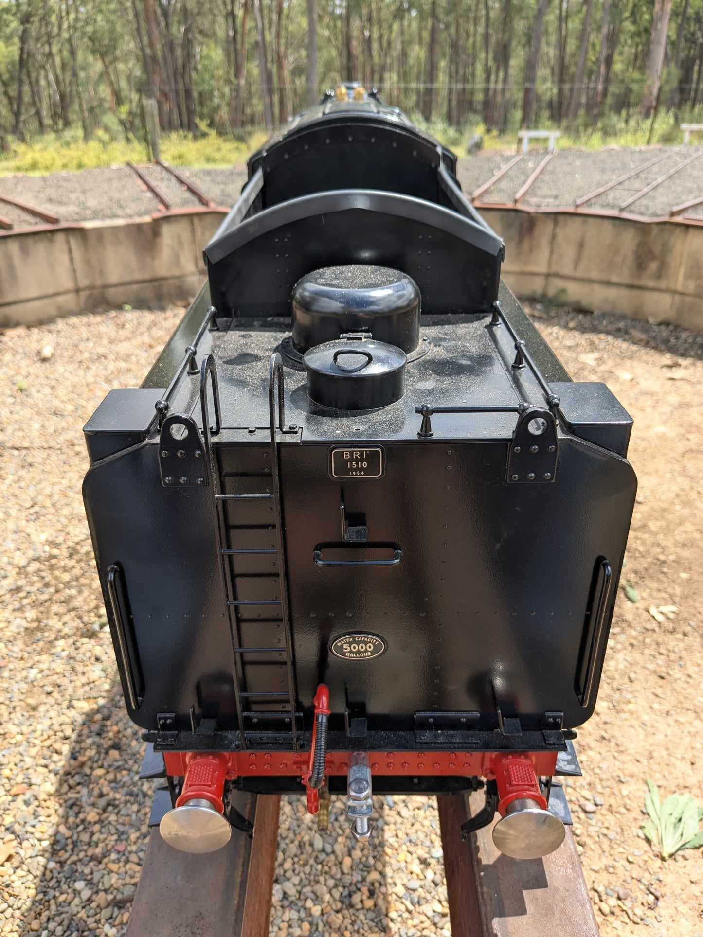 5" Kingscale 9F Steam Locomotive - Richmond NSW - S1312