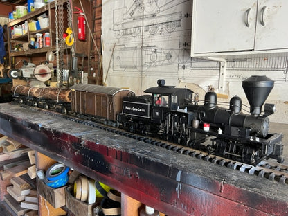 45mm Single Truck Shay with Wagons - Loftus, NSW - S1165