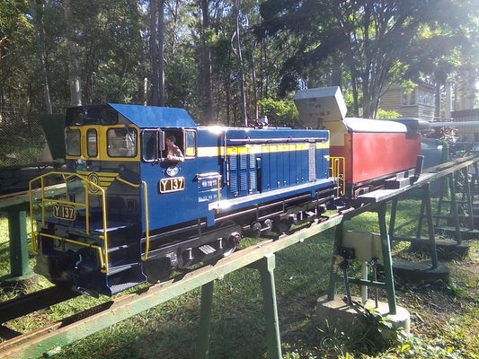 5" VR Y Class locomotive - Brisbane QLD - S1329
