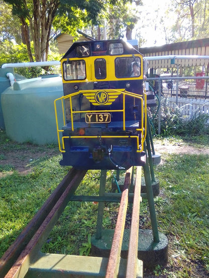 5" VR Y Class locomotive - Brisbane QLD - S1329